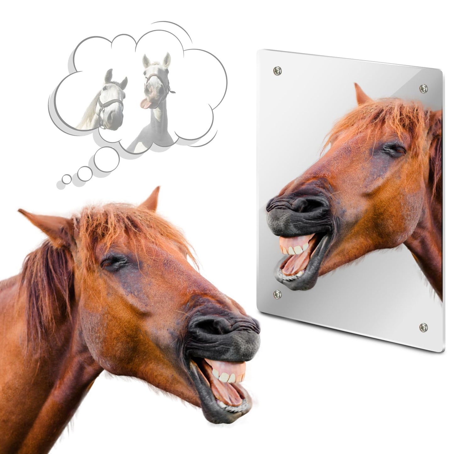 Sukh Shatterproof Horse Stall Mirror - view 2