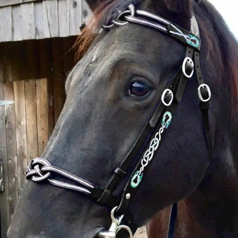 Outdoor Horse Reins - view 6