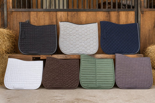 7 Best Schooling Saddle Pads for High Withered Horses
