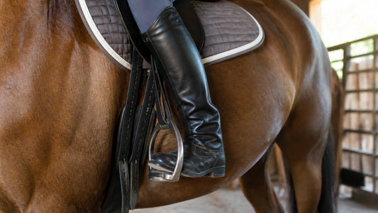 Are Ergonomic Stirrup Leathers Worth the Price?