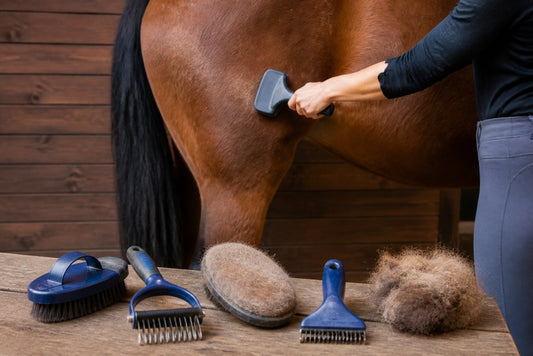 Best Horse Grooming Tools for Shedding