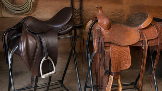 English vs Western Saddles for Beginners