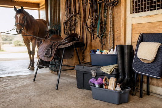 Essential Gear for New Horse Owners: 2026 Guide