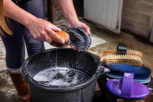 How to Clean Horse Brushes Effectively