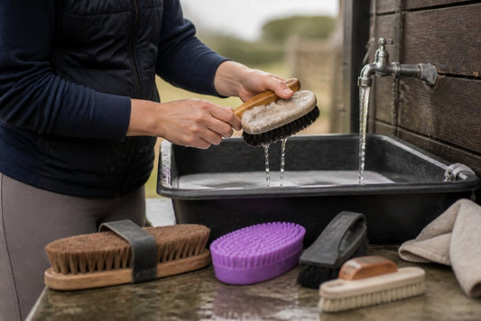 How to Clean Horse Grooming Tools: A Simple Guide