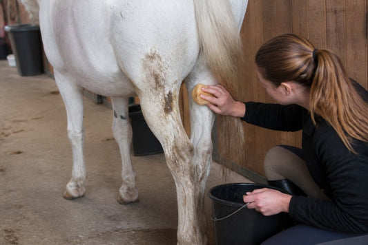 How to Clean Stubborn Horse Stains: A Step-by-Step Guide
