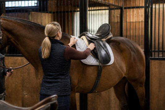 Professional Saddle Fitting Assessments: Why They Matter