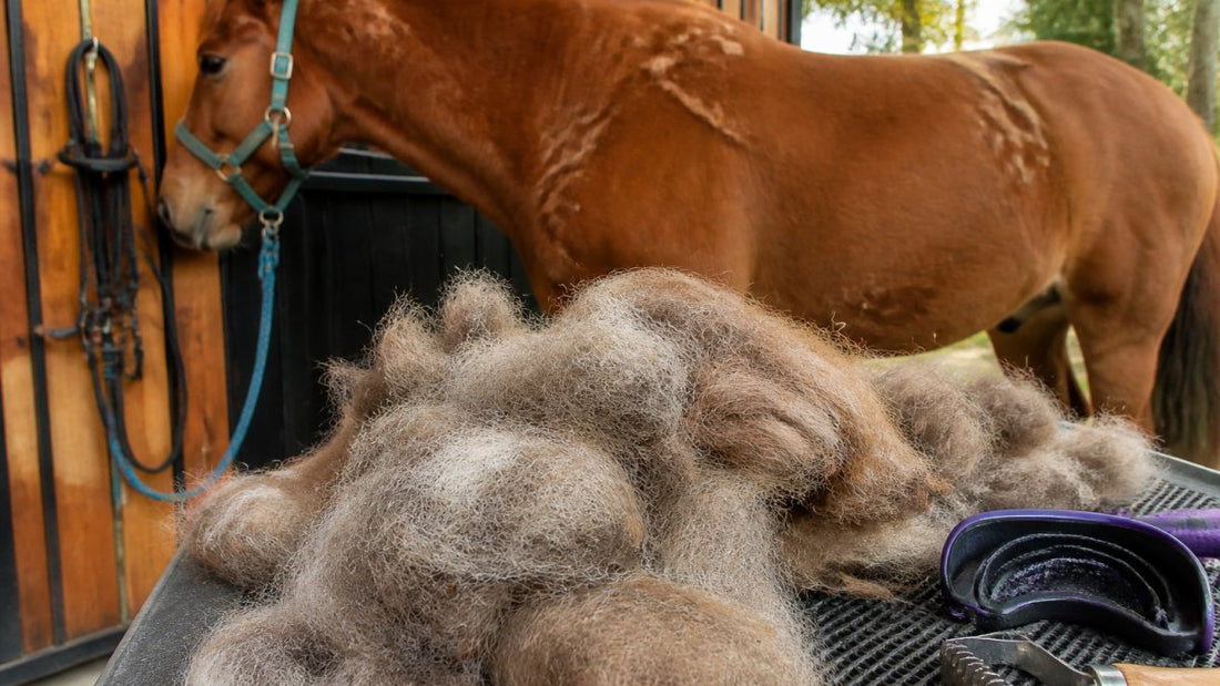 Why Horse Shedding Season Matters