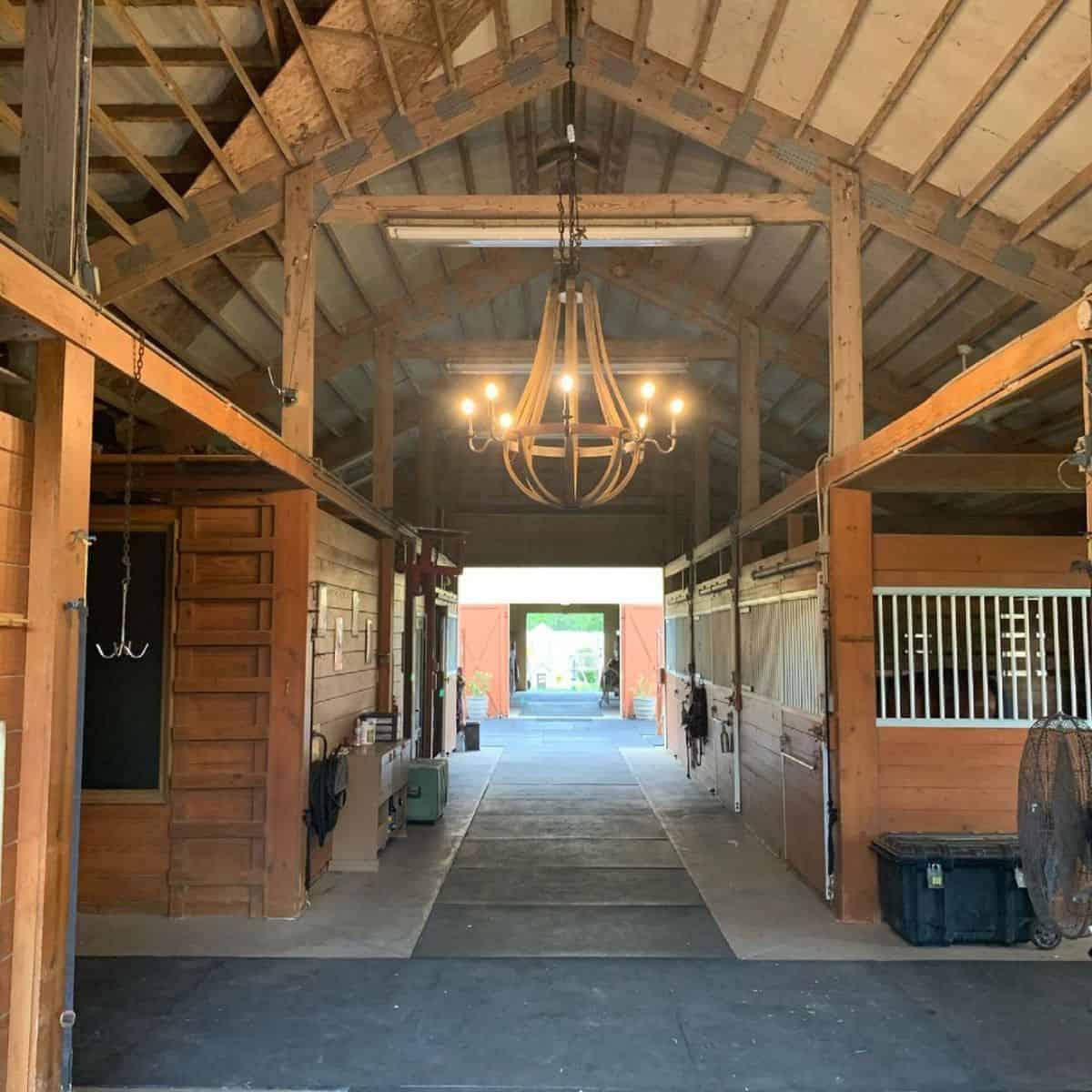 Welcome to the Barn — Start Your Ride with the Right Gear – Horsey ...