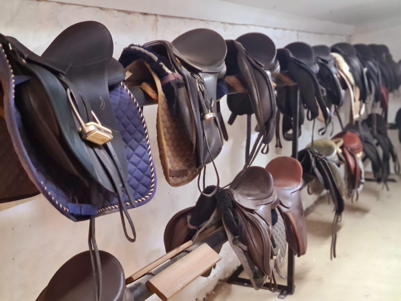 The Saddle Room — Premium Saddles & Tack for Every Ride – Horsey Horse ...