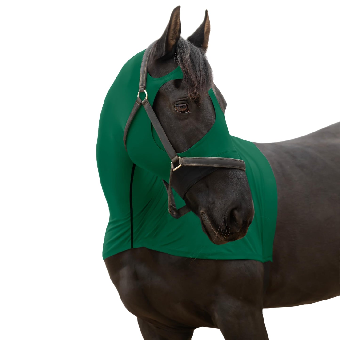 RESISTANCE Full-Zipper Horse Hood with Face - view 2