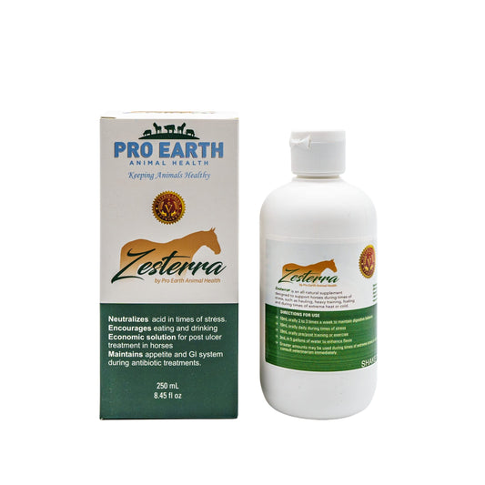 Zesterra Digestive Support Supplement for Horses
