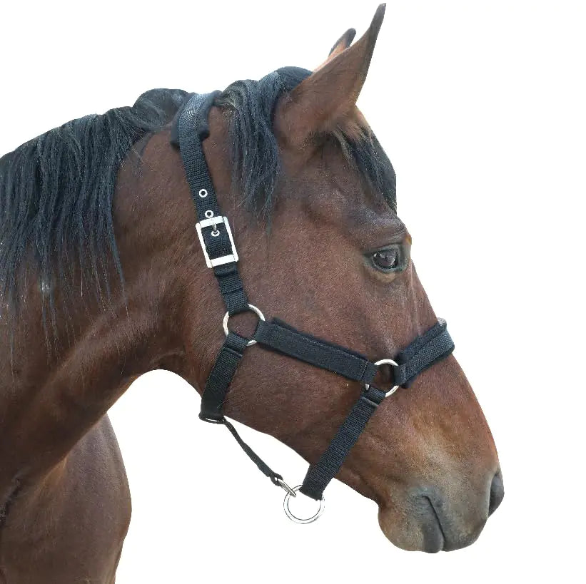 Kabahorze Adjustable Fleece-Lined Horse Halter - view 2