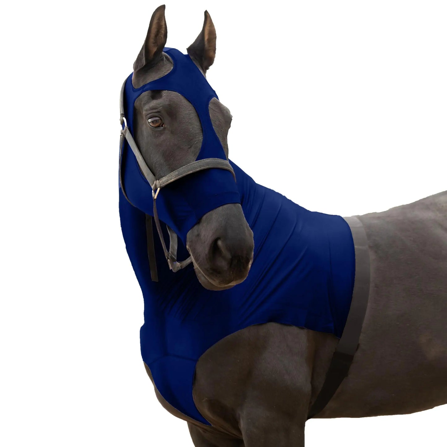 RESISTANCE Premium Horse Hood Pull-On with Face - Horse Sleazy Slickers and Horse Care Sheet