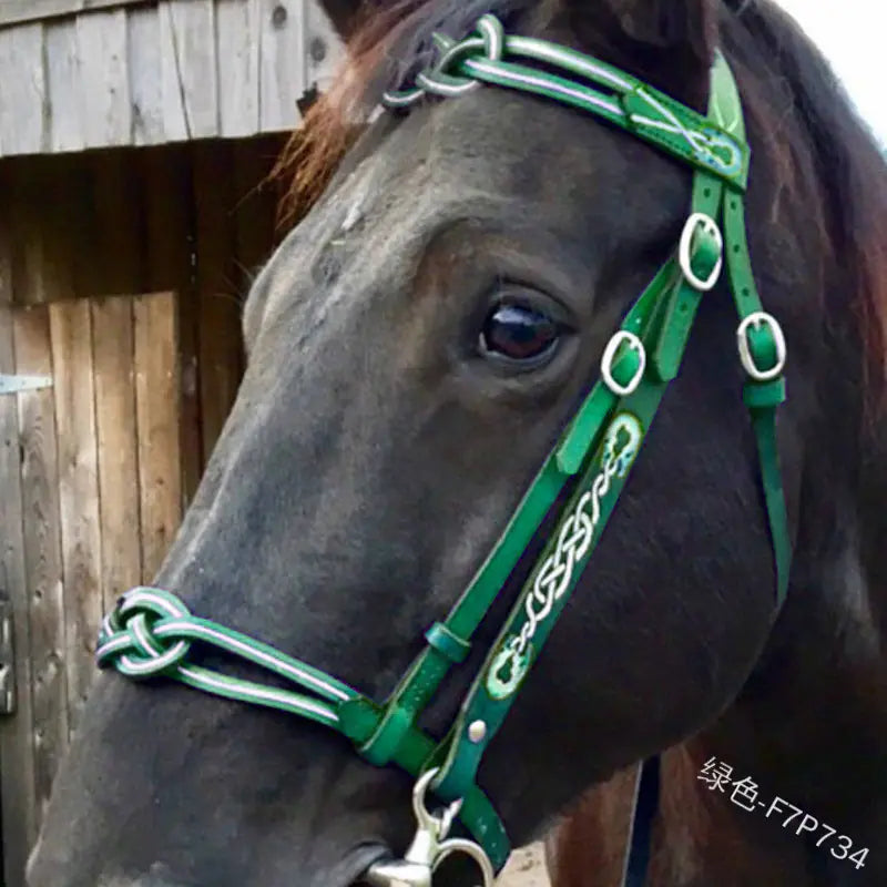 Outdoor Horse Reins - Blue - view 5