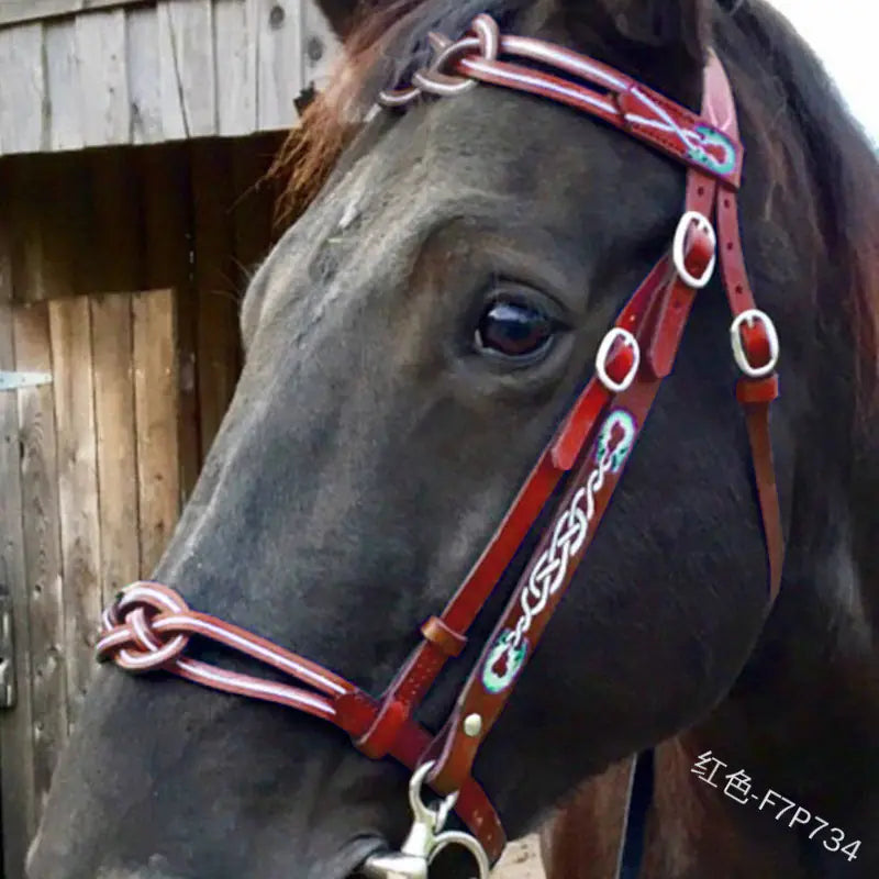 Outdoor Horse Reins - Purple - view 4