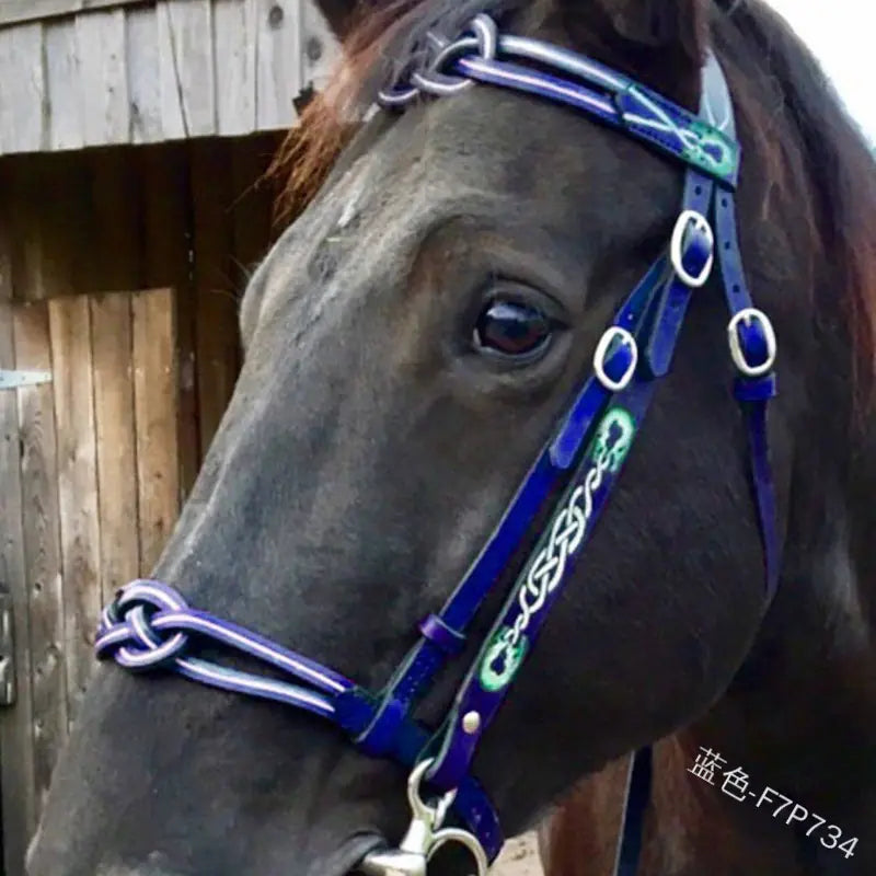 Outdoor Horse Reins - Green - view 3